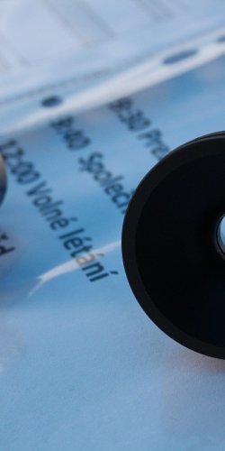 2013 Svojek Mirek Topinka